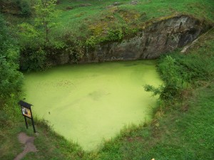 Je možné, že se pod kalnou hladinou jezírka skrývá černé svědomí krále Václava IV.? Údajně jsou zde uvězněny duše jeho obětí. 