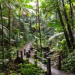 El Yunque, Portoriko