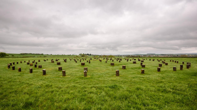 Woodhenge