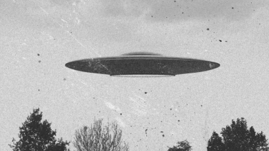 27. října 1954 – UFO přerušilo fotbalovou hru