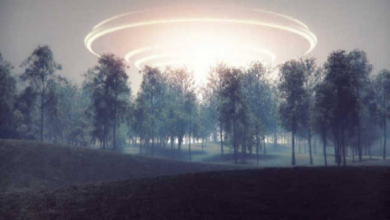 VIDEO: Manželský pár údajně zachycuje přistání UFO
